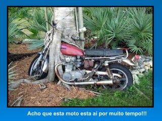 Acho que esta moto esta aí por muito tempo!!! 