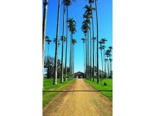 Fotos pedal macaé 2012