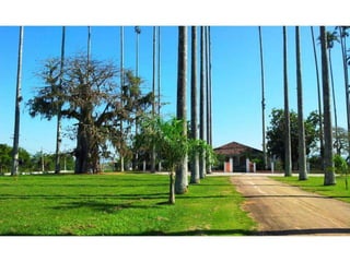 Fotos pedal macaé 2012