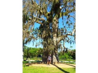 Fotos pedal macaé 2012