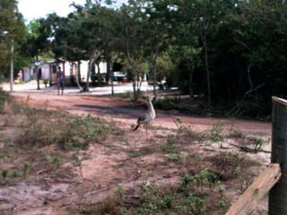 Fotos pedal macaé 2012