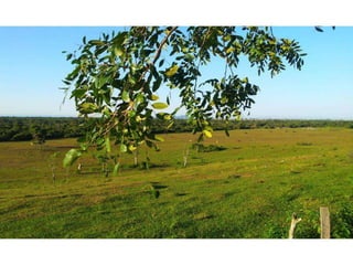 Fotos pedal macaé 2012