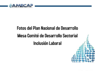 Fotos del Plan Nacional de Desarrollo
Mesa Comité de Desarrollo Sectorial
Inclusión Laboral
 