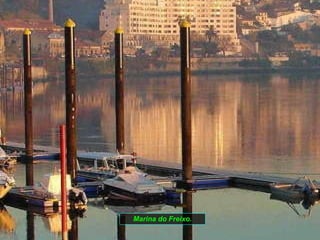 Marina do Freixo. 
