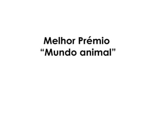 Melhor Prémio  “Mundo animal” 