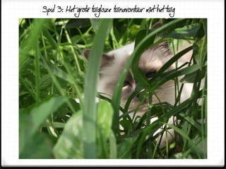 Spul 3: Het grote tuigloze tuinavontuur met het tuig
 