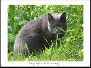 Sneaky Kiaya is ook best wel sneaky --)
 