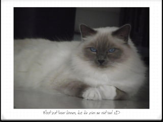 Moot zat liever binnen, dus die zien we niet veel xD
 