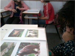 Fotos do aluno Daniel