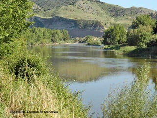 Río EBRO. Término de Mendavia 