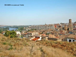 RÍO EBRO a su paso por Tudela  