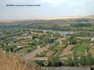 RÍO EBRO a su paso por la mejana de Tudela.  