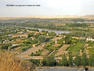 RÍO EBRO a su paso por la mejana de Tudela.  