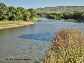 Río EBRO. Término de Mendavia 