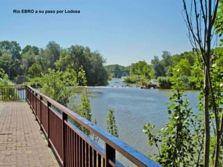 Río EBRO a su paso por Lodosa 