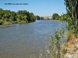 Río EBRO a su paso por Lodosa 