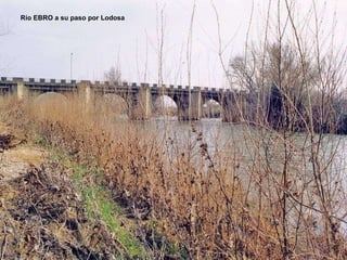 Río EBRO a su paso por Lodosa 