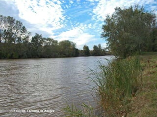 Río EBRO. Término de Azagra  