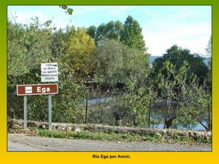 Río Ega por Ancín.   