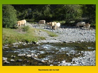 Nacimiento del río Irati  