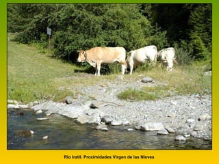 Rìo IratiI. Proximidades Virgen de las Nieves 
