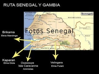 Fotos Senegal
 