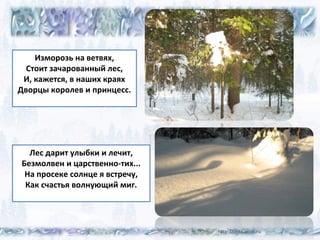 Изморозь на ветвях,
Стоит зачарованный лес,
И, кажется, в наших краях
Дворцы королев и принцесс.
Лес дарит улыбки и лечит,
Безмолвен и царственно-тих...
На просеке солнце я встречу,
Как счастья волнующий миг.
 
