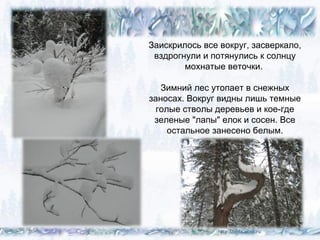 09.01.16 8
Заискрилось все вокруг, засверкало,
вздрогнули и потянулись к солнцу
мохнатые веточки.
Зимний лес утопает в снежных
заносах. Вокруг видны лишь темные
голые стволы деревьев и кое-где
зеленые "лапы" елок и сосен. Все
остальное занесено белым.
 
