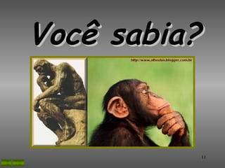 Você sabia?


          11
 