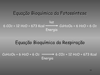 Equação Bioquímica da Fotossíntese
                              luz
6 CO2 + 12 H2O + 673 Kcal             C6H12O6 + 6 H2O + 6 O2
                            Energia


       Equação Bioquímica da Respiração

C6H12O6 + 6 H2O + 6 O2              6 CO2 + 12 H2O + 673 Kcal
                         Energia


                                                        10
 