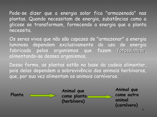 Pode-se dizer que a energia solar fica "armazenada" nas
plantas. Quando necessitam de energia, substâncias como a
glicose se transformam, fornecendo a energia que a planta
necessita.
Os seres vivos que não são capazes de "armazenar" a energia
luminosa dependem exclusivamente do uso de energia
fabricada pelos organismos que fazem fotossíntese,
                                              fotossíntese
alimentando-se desses organismos.
Dessa forma, as plantas estão na base da cadeia alimentar,
pois delas dependem a sobrevivência dos animais herbívoros,
que, por sua vez alimentam os animais carnívoros.


                      Animal que             Animal que
Planta                come planta            come outro
                      (herbívoro)            animal
                                             (carnívoro)
                                                           6
 