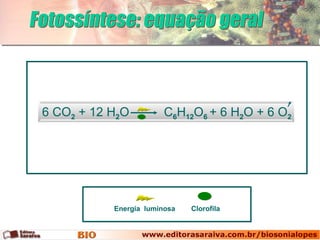 Fotossíntese: equação geral Clorofila Energia  luminosa 6 CO 2  + 12 H 2 O  C 6 H 12 O 6  + 6 H 2 O + 6 O 2   
