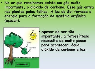 • No ar que respiramos existe um gás muito
  importante, o dióxido de carbono. Esse gás entra
  nas plantas pelas folhas. A luz do Sol fornece a
  energia para a formação da matéria orgânica
  (açúcar).


                    • Apesar de ser tão
                      importante, a fotossíntese
                      necessita de muito pouco
                      para acontecer: água,
                      dióxido de carbono e luz.
 