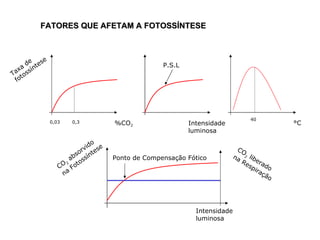 Taxa de fotossíntese %CO 2 Intensidade luminosa °C FATORES QUE AFETAM A FOTOSSÍNTESE 0,03  0,3 P.S.L 40 CO 2  absorvido na Fotossíntese Intensidade luminosa CO 2  liberado  na Respiração Ponto de Compensação Fótico 