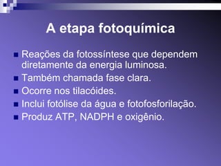A etapa fotoquímica
 Reações da fotossíntese que dependem
  diretamente da energia luminosa.
 Também chamada fase clara.
 Ocorre nos tilacóides.
 Inclui fotólise da água e fotofosforilação.
 Produz ATP, NADPH e oxigênio.
 
