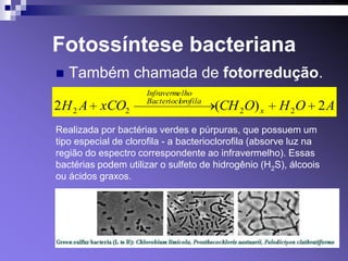 Fotossíntese bacteriana
   Também chamada de fotorredução.
                      Infraverme lho
                      Bacterioclorofila
2H 2 A xCO2                               (CH 2 O) x   H 2O 2 A
Realizada por bactérias verdes e púrpuras, que possuem um
tipo especial de clorofila - a bacterioclorofila (absorve luz na
região do espectro correspondente ao infravermelho). Essas
bactérias podem utilizar o sulfeto de hidrogênio (H2S), álcoois
ou ácidos graxos.
 