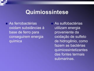 Quimiossíntese
   As ferrobactérias         As sulfobactérias
    oxidam substâncias à       utilizam energia
    base de ferro para         proveniente da
    conseguirem energia        oxidação de sulfeto
    química                    de hidrogênio, como
                               fazem as bactérias
                               quimiossintetizantes
                               das fontes termais
                               submarinas.
 