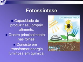 Fotossíntese
      Capacidade de
   produzir seu próprio
         alimento;
 Ocorre principalmente
        nas folhas;
       Consiste em
    transformar energia
  luminosa em química;
 