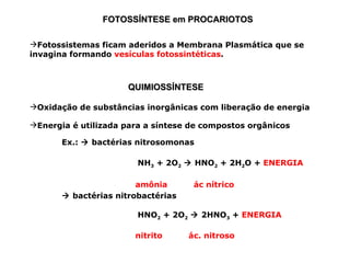 FOTOSSÍNTESE em PROCARIOTOS

Fotossistemas ficam aderidos a Membrana Plasmática que se
invagina formando vesículas fotossintéticas.



                      QUIMIOSSÍNTESE

Oxidação de substâncias inorgânicas com liberação de energia

Energia é utilizada para a síntese de compostos orgânicos

       Ex.:  bactérias nitrosomonas

                        NH3 + 2O2  HNO2 + 2H2O + ENERGIA

                        amônia       ác nítrico
        bactérias nitrobactérias

                        HNO2 + 2O2  2HNO3 + ENERGIA

                       nitrito      ác. nitroso
 