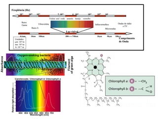 Freqüência (Hz)
       1021      1018     1016                     7. 1014          4 . 1014        1012     1010    104
                                          Violeta azul verde amarelo laranja   vermelho
         Raios                                                                                                    Ondas de rádio
         Gama              Ultravioleta                                                    Infravermelhos
                                                                                                                      e TV
                    Raios X                                                                          Microondas
                                                             Luz visível
       0,1nm       10nm       100nm                          400------740nm                 10µ
                                                                                            10µm       50µ
                                                                                                       50µm   100µ
                                                                                                              100µm
  Unidades:                                                                                                       Comprimento
  µm: 10-6 m                                                                                                      de Onda
  nm: 10-9 m
  A: 10-10 m
 