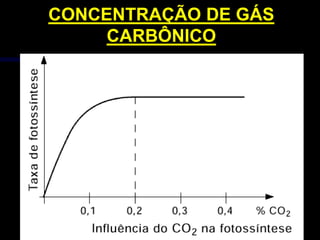 CONCENTRAÇÃO DE GÁS
     CARBÔNICO
 