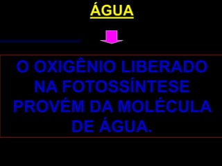 ÁGUA


O OXIGÊNIO LIBERADO
  NA FOTOSSÍNTESE
PROVÉM DA MOLÉCULA
      DE ÁGUA.
 