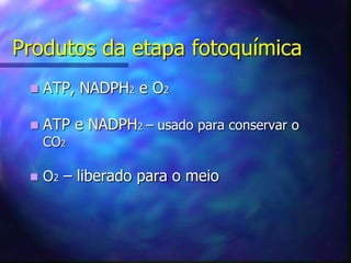Produtos da etapa fotoquímica
    ATP, NADPH2 e O2

    ATP e NADPH2 – usado para conservar o
     CO2

    O2 – liberado para o meio
 