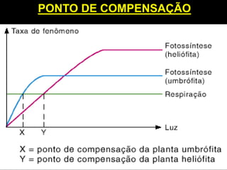 PONTO DE COMPENSAÇÃO
 