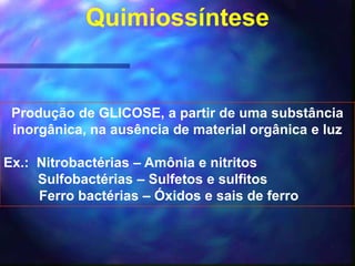 Quimiossíntese


 Produção de GLICOSE, a partir de uma substância
 inorgânica, na ausência de material orgânica e luz

Ex.: Nitrobactérias – Amônia e nitritos
     Sulfobactérias – Sulfetos e sulfitos
     Ferro bactérias – Óxidos e sais de ferro
 