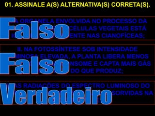 01. ASSINALE A(S) ALTERNATIVA(S) CORRETA(S).

  I. A ORGANELA ENVOLVIDA NO PROCESSO DA
  FOTOSSÍNTESE EM CÉLULAS VEGETAIS ESTÁ
   IGUALMENTE PRESENTE NAS CIANOFÍCEAS;

    II. NA FOTOSSÍNTESE SOB INTENSIDADE
LUMINOSA ELEVADA, A PLANTA LIBERA MENOS
OXIGÊNIO DO QUE CONSOME E CAPTA MAIS GÁS
          CARBÔNICO DO QUE PRODUZ;

 III. AS RADIAÇÕES DO ESPECTRO LUMINOSO DO
VERMELHO E DO AZUL SÃO MAIS ABSORVIDAS NA
                FOTOSSÍNTESE;
 