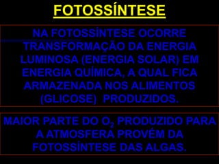 FOTOSSÍNTESE
    NA FOTOSSÍNTESE OCORRE
  TRANSFORMAÇÃO DA ENERGIA
  LUMINOSA (ENERGIA SOLAR) EM
  ENERGIA QUÍMICA, A QUAL FICA
   ARMAZENADA NOS ALIMENTOS
     (GLICOSE) PRODUZIDOS.

MAIOR PARTE DO O2 PRODUZIDO PARA
     A ATMOSFERA PROVÉM DA
    FOTOSSÍNTESE DAS ALGAS.
 