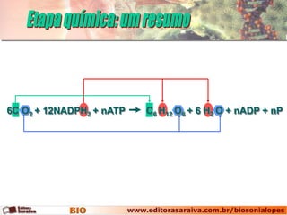 6C O2 + 12NADPH2 + nATP   C6 H12 O6 + 6 H2 O + nADP + nP
 