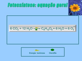 6 CO2 + 12 H2O         C6H12O6 + 6 H2O + 6 O2




           Energia luminosa   Clorofila
 