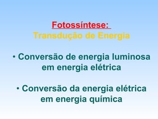 Fotossíntese:
    Transdução de Energia

• Conversão de energia luminosa
      em energia elétrica

• Conversão da energia elétrica
     em energia química
 
